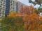 2-комнатная квартира 58,9 кв.м. Фото 1.