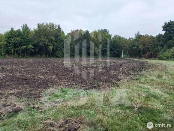 Участок 15 сот.. Фото 1.
