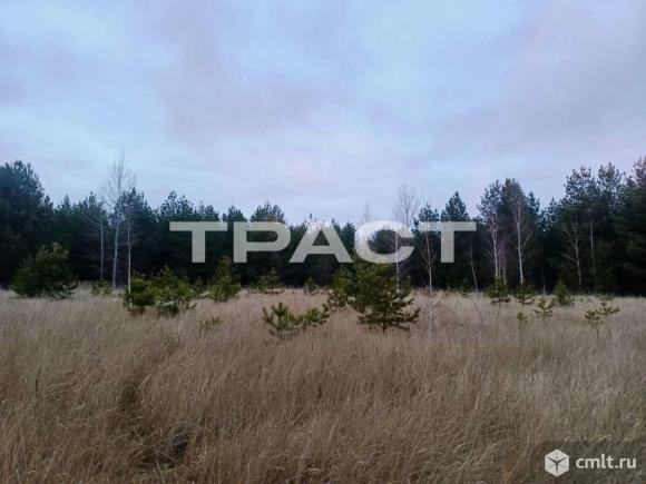 Участок 9 сот.. Фото 6.