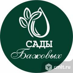Менеджер по продажам. Фото 1.