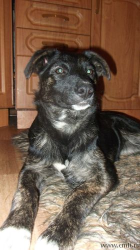 Ищу тебя!. Фото 1.