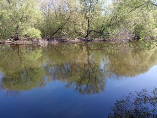 Новоусманский р-н СНТ Отрада. Фото 8.