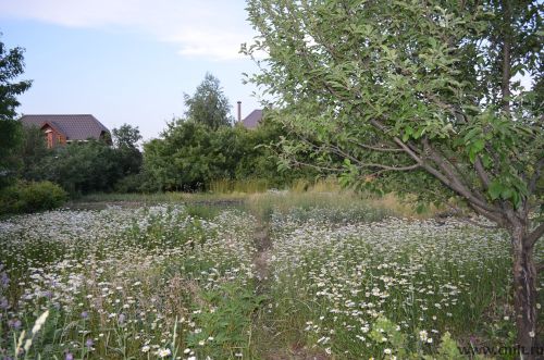 Дом 110 кв.м. Фото 8.