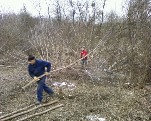 рабочие на уборку территории