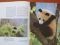 Книга Панды из серии Мир природы 80 фото, 24х33. Фото 3.