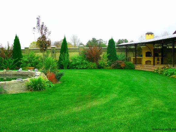 Озеленение в Воронеже тел. 89515442233