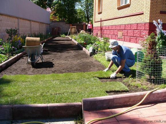 Рулонный газон в Воронеже тел. 89515442233