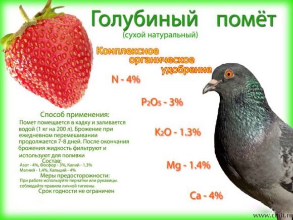 Отличное органическое удобрение голубиный помет. Фото 1.